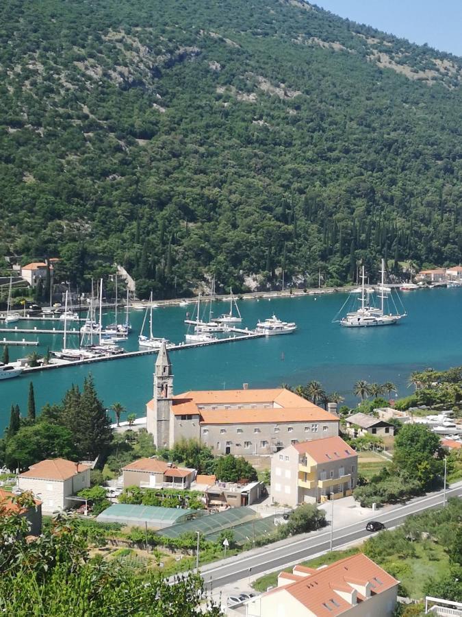 Apartment House Of Artichoke With Amazing Sea View, Dubrovnik Mokosica Bagian luar foto